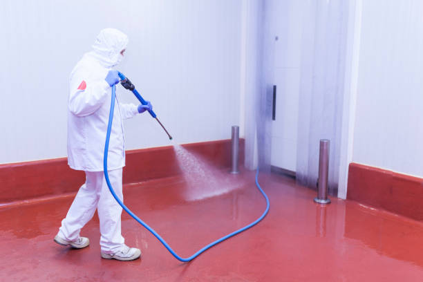 Best Oil Spill Cleanup  in La Villa, TX
